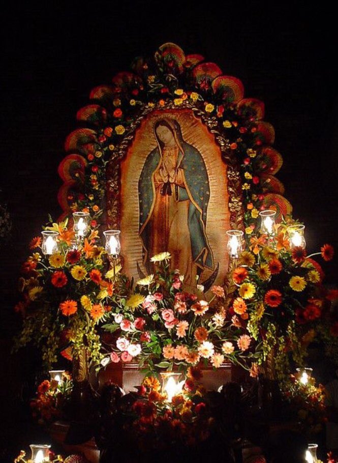 LAURAGII's tweet photo. Hoy es día de decir ...¡ Gracias! 🙏🏼 #VirgenDeGuadalupe https://t.co/8eGgFnxl4A