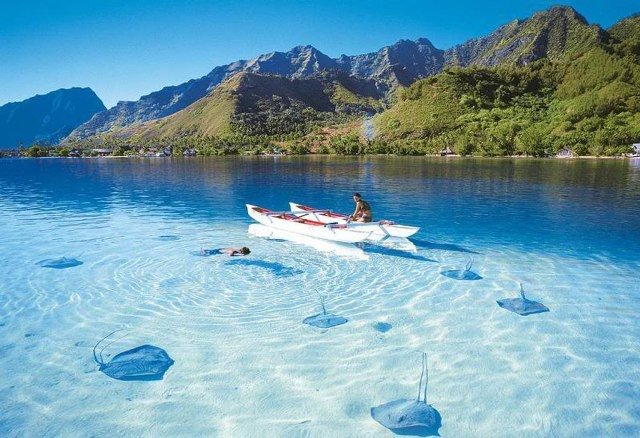 akun_KEPO's tweet photo. Ini bukan di luar negeri, ini Pulau Weh, Sabang, Indonesia #PesonaSabangMarineFest https://t.co/RTdlVSd16R