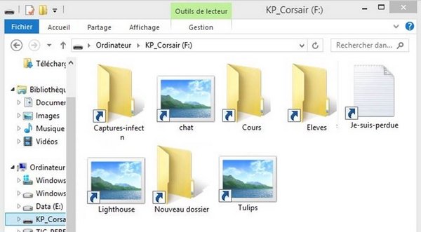 LnctIndore's tweet photo. How To Remove Shortcut Virus from Pendrive (shortcut files and folder USB virus). https://t.co/kdOyMqUsmS https://t.co/ZlTQojFsCC
