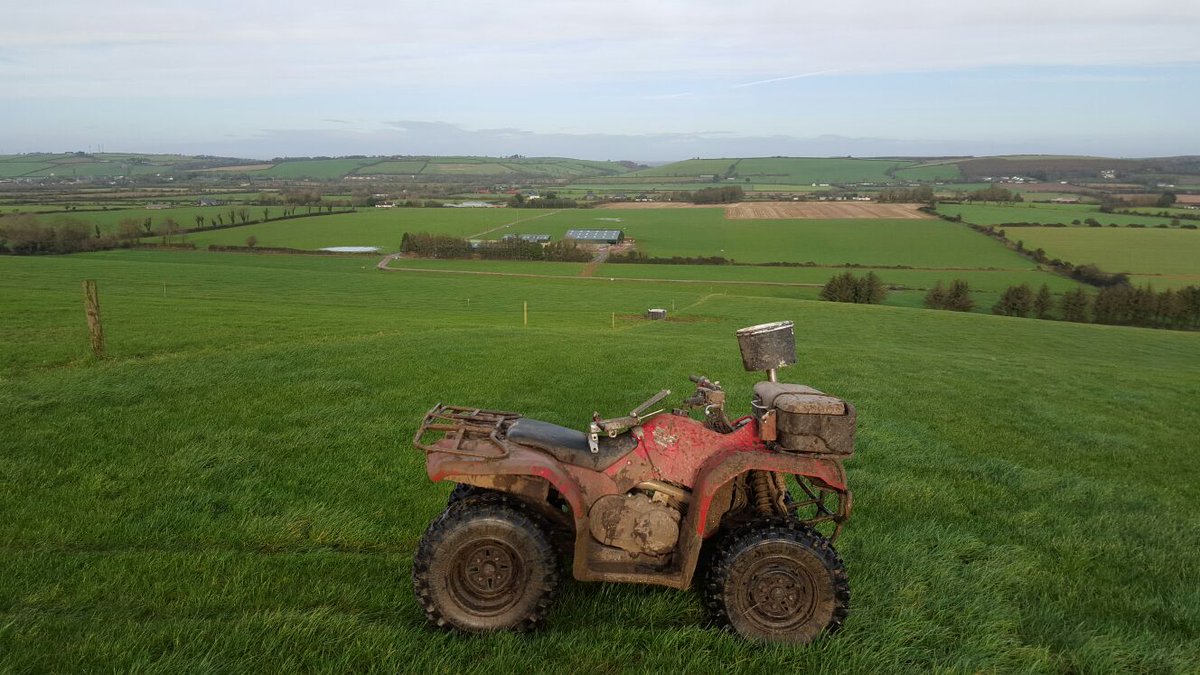 Grasstec Ltd tweet media