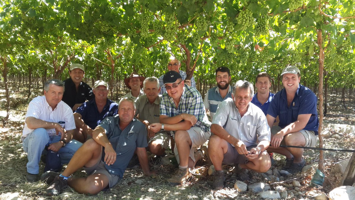 naWerner's tweet photo. Sharing our knowledge on new varieties with fellow growers from #CoreFruit
Building our industry together. https://t.co/zE5FE4xtIr