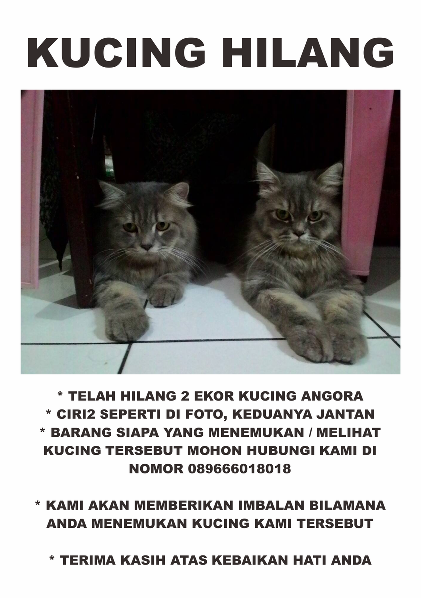 luckywepe's tweet photo. @JogjaPet @infojogja @JogjaUpdate @JogjaPEDULI @Jogja24Jam https://t.co/htkYuETKX9