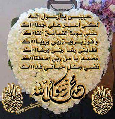 نور الامل (@8d61eed80eec441) on Twitter photo 