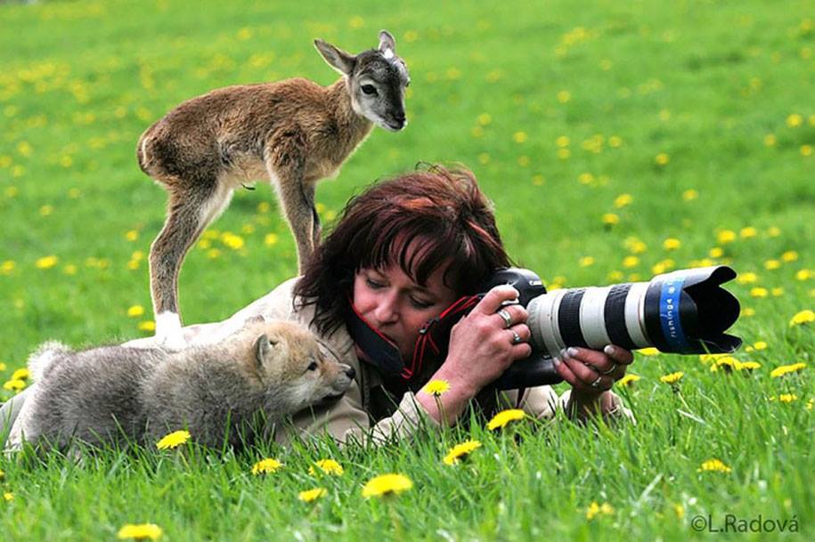 XploreDaily's tweet photo. 25 Perfect Reasons To Quit Your Job &amp; Be A ... - https://t.co/4gnmSCWdx7 #wildlife #photography #careerchange https://t.co/zon4vfqGGJ