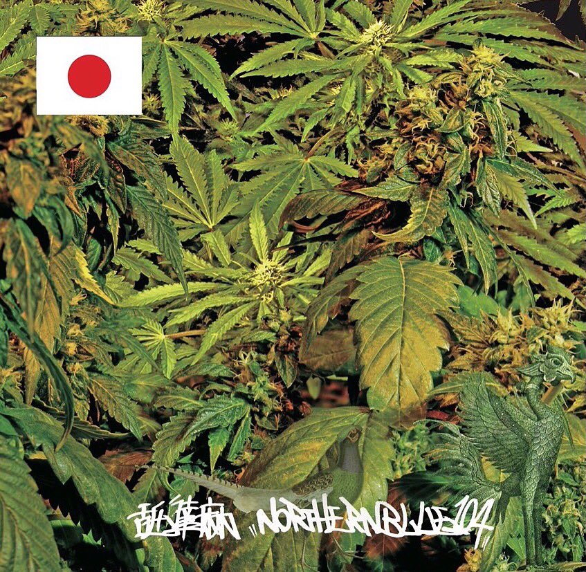 NAMEDARUMAAz's tweet photo. #NorthernBlue104 #舐達麻
今更ですが
ジャケット アートワークは
EIGHTGRAPHICSさん @EI6HT 
#REALWEED #NITRAID #VISUALREPORTS
まちがいない #リアルウィード https://t.co/ySBbod4uRB