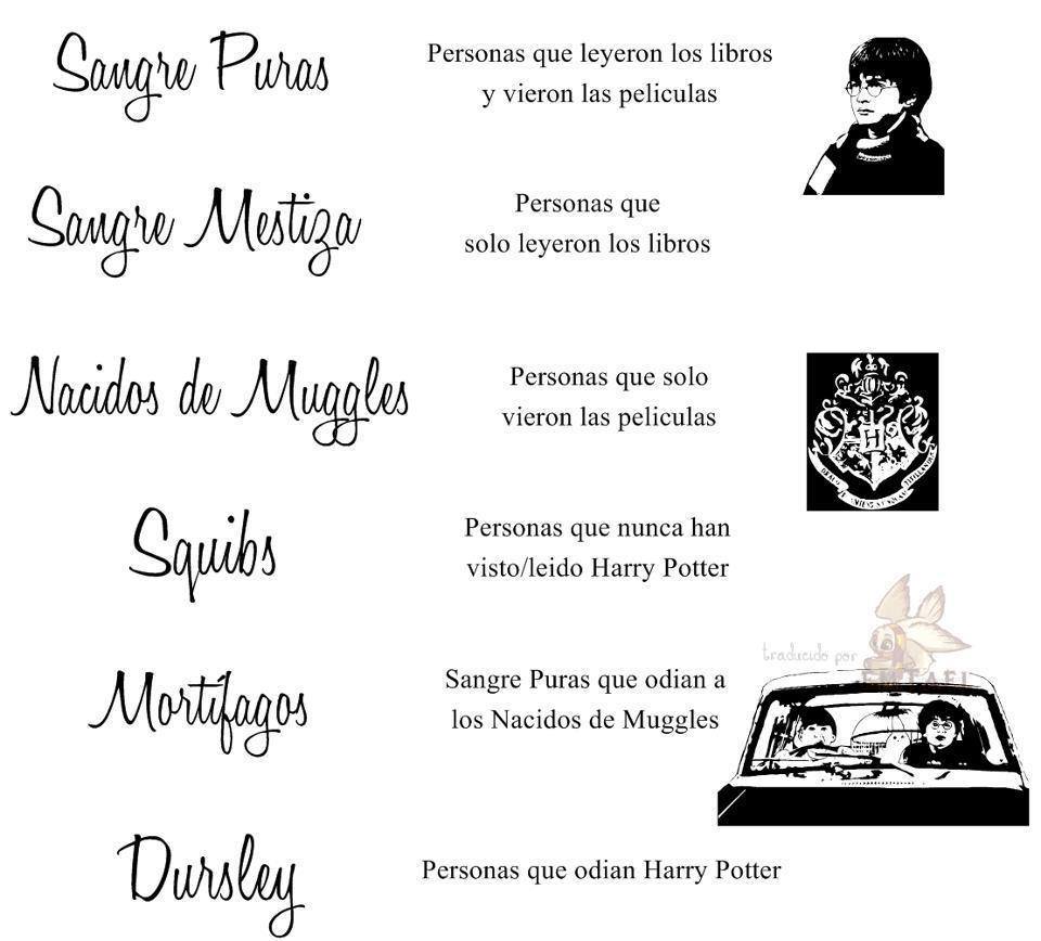 SrRonWeasley's tweet photo. Tipos de personas https://t.co/wzVmOudy8R
