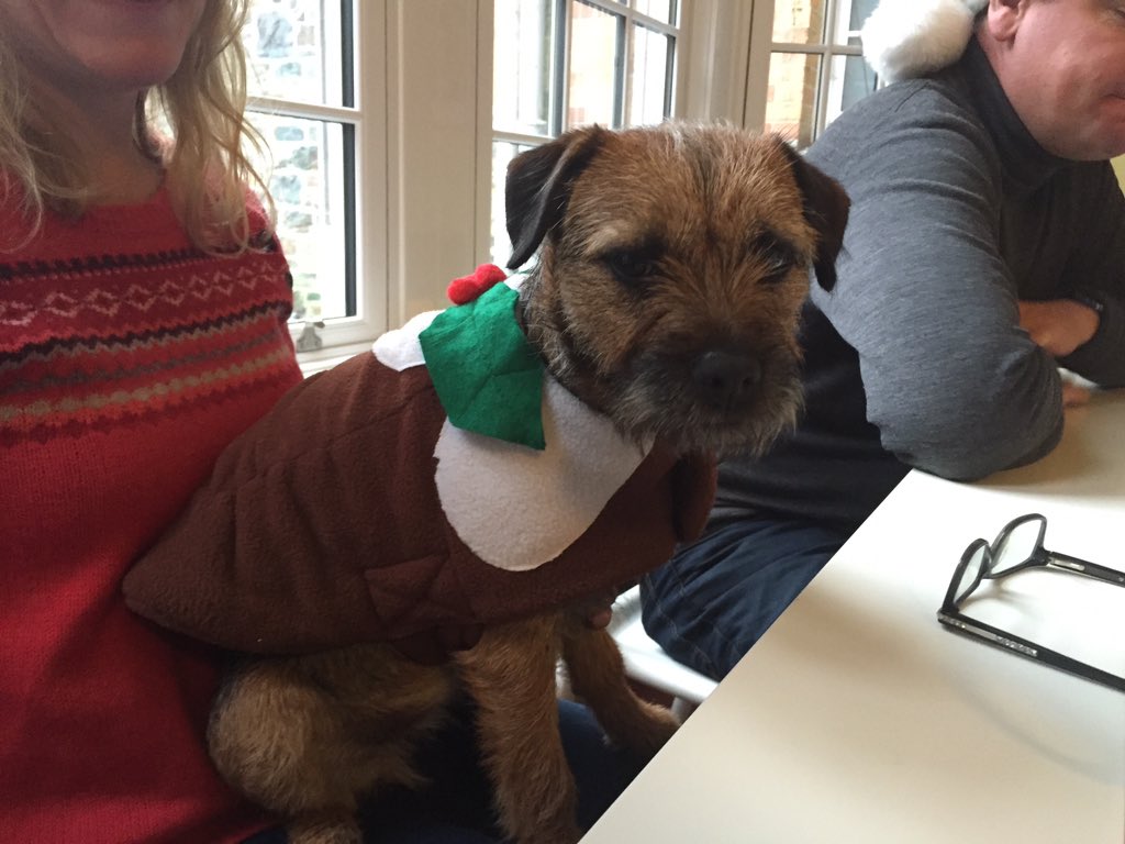 Rubytheborder's tweet image. Xmas jumper on!