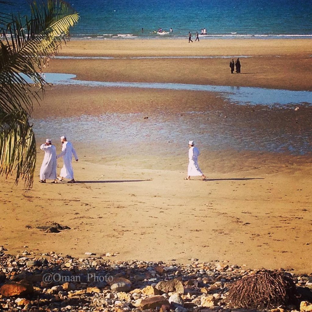 Oman_Photo's tweet photo. شاطئ القرم ملاذا رحبا لكل الأذواق، ولكل الفئات للعائلات والشباب،  والباحث عن الرياضة والباحثين عن الهدوء والسكينة https://t.co/rIpny67ULh