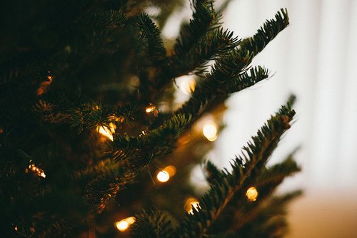 Il #natale è ormai alle porte...
Vi aspettiamo con ferri e gomitoli al nostro #christmaslab eventbrite.it/e/biglietti-gg…