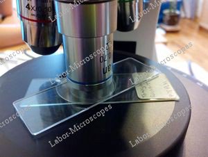 Labor-Microscopes (@labormic) / Posts / X