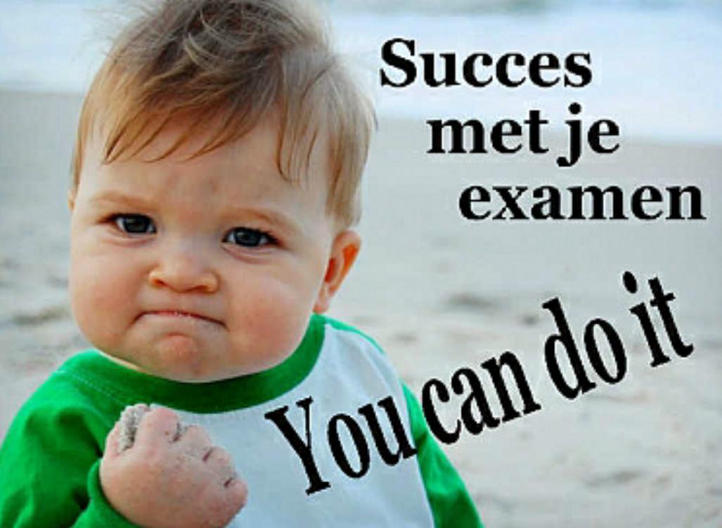 Mogelijkheid krijgen om te laten zien wat je kunt en niet aanpakken, is een 'gemiste kans'
<a href="/reeshofcollege/">Reeshof College</a> CT-WEEK
