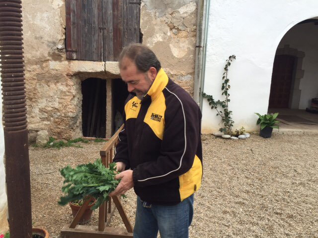 Origen Garraf tweet media