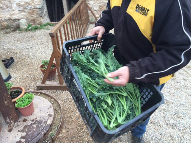 Origen Garraf tweet media