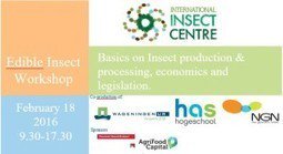 AnaCDay's tweet photo. February 18, 2016: Second Edition of the Edible Insect Workshop: Basics on insect prod... https://t.co/c6PwpGY8ag https://t.co/dLJx9r4uLD