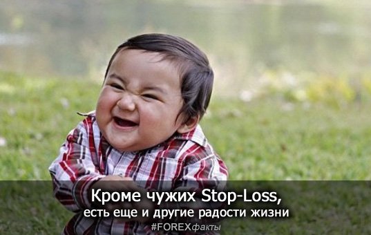 Forex_Facts's tweet photo. Кроме чужих Stop-Loss, есть еще и другие радости жизни

#FOREXфакты #форекс #forex https://t.co/Qg2Hxsz8L4