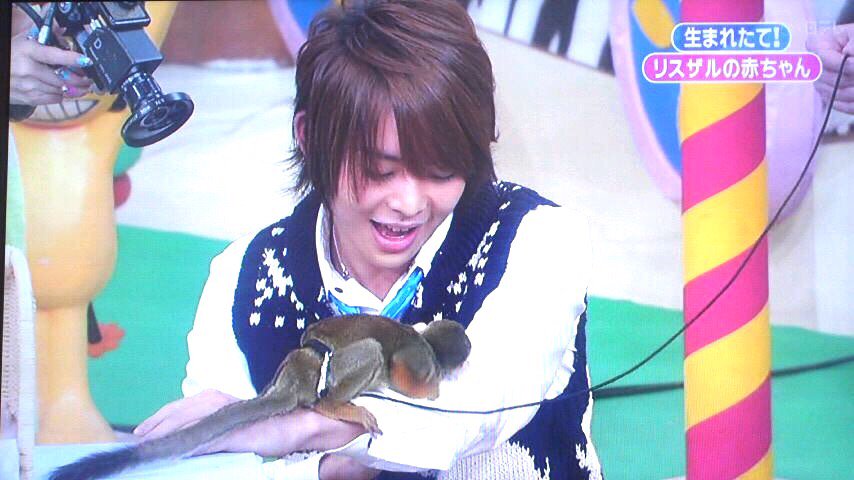 hoysayjump's tweet photo. 志村どうぶつ園って神ってる(´‘▽‘｀)
動物とキスする山田涼介。
犬とみつめあう高木雄也。
猿に気に入られる有岡大貴。
チワワに似てる知念侑李。
そして猫になりたい伊野尾慧。 https://t.co/EV3Bt9cDQ6