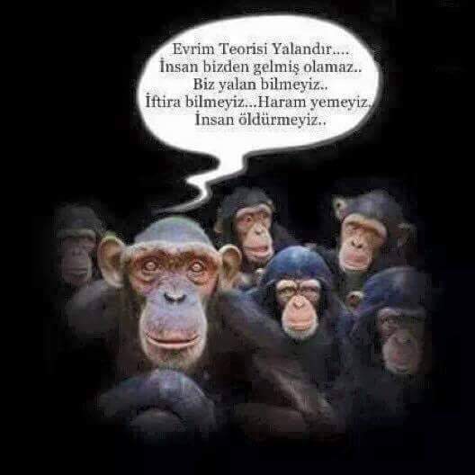 bdorak (@behcetdorak) on Twitter photo 