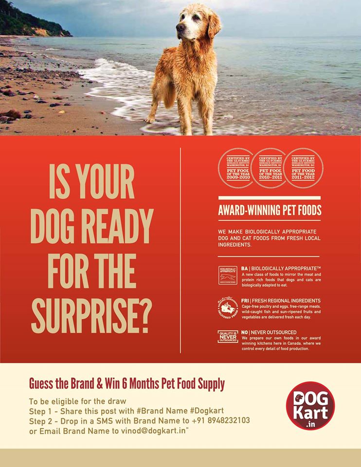 Dogkart Hashtag On Twitter twitter