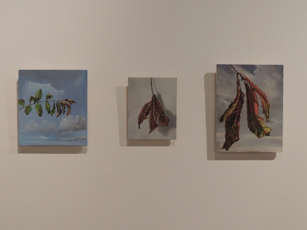 MascallsGallery's tweet photo. Already busy on the final day of #JulianPerry #WhenYellowLeaves Closes4pm today #art #kent @culturekent @kentculture https://t.co/NOb7EASykU