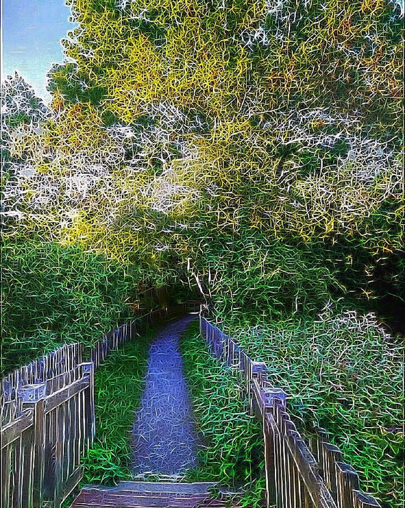 gamezweplay's tweet image. Breaking out of your comfort zone is a pathway to growth. -Unknown

#gallery_of_all #hdr_europe #hdr_for_all #hdrcr…