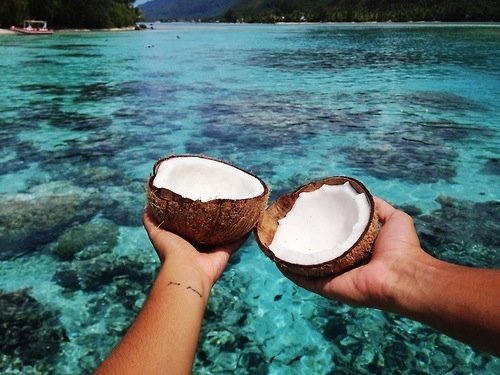 CoconutTeam's tweet photo. https://t.co/RnLUaQP1HE