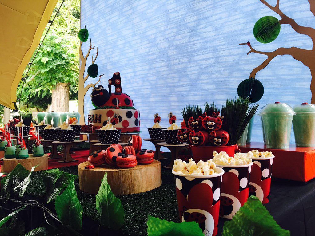 eld_sa's tweet photo. My goddaughter's 1st Birthday Ladybug Dessert Table @dehollandschemolen #Ladybug #1stBirthday #StyledDessertTable https://t.co/PY0kwMl67r