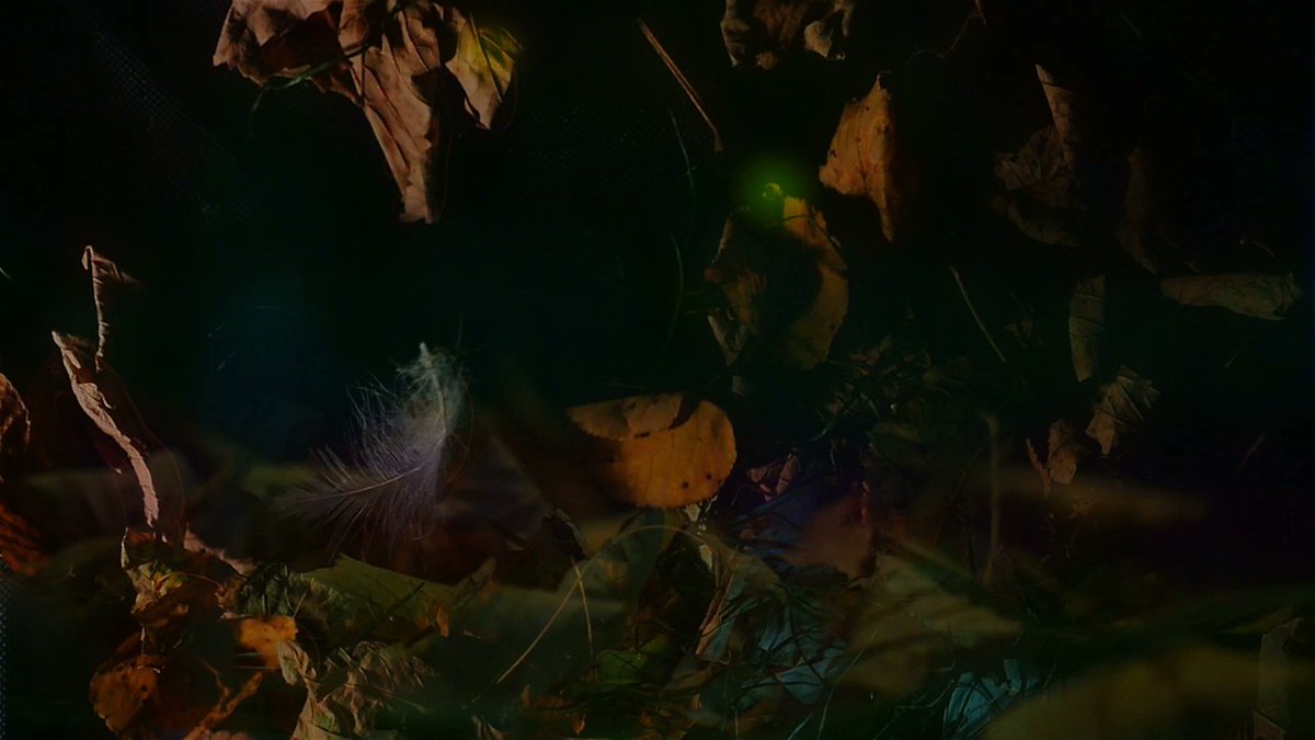 barbaraklein_pl's tweet photo. New video for #ambiq (#MaxLoderbauer, #ClaudioPuntin and #SamuelRohrer). https://t.co/C3P1QNqatn https://t.co/DEXl49S4ov