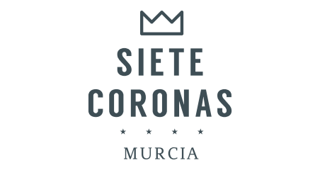 Hotel Siete Coronas tweet media