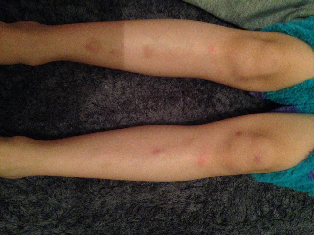 #epicblokfest thanks Boulder Brighton for a great day and all my bruises 😘 Lucy xx