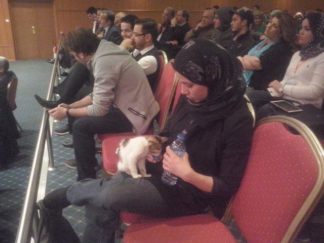 SWAnnaba's tweet photo. Our coach @Nas_sima made a new friend at @SWAnnaba .
#swannaba #startupweekend #annaba #Dz #cat #love https://t.co/8l3LaDQQPZ