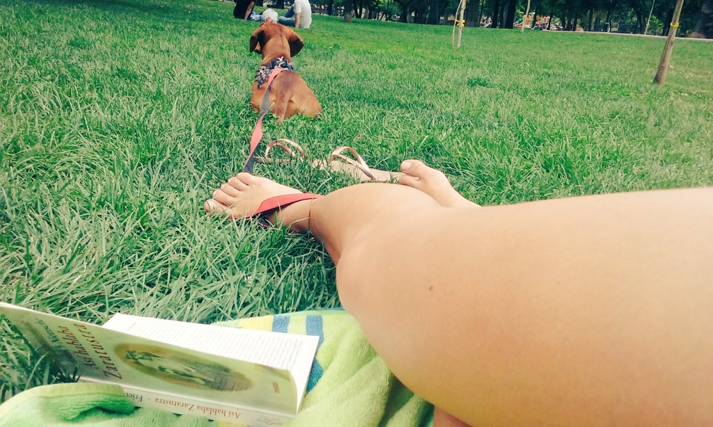 MEugenia_'s tweet photo. lectura + cachorra = amor https://t.co/btyu8nimrp