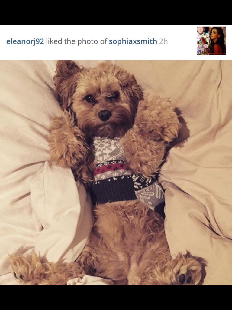 EleanorJCMx's tweet photo. Eleanor liked Sophia's photo π
#EleanorIsBeautiful #EleanorCalder #EleanorSupport #EleanorFacts https://t.co/qqiwzbUHho