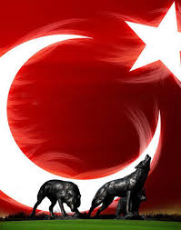 EFE_35_efe's tweet photo. BOZKURTLAR ULUSUN TANRI TÜRKÜ KORUSUN https://t.co/unobNidDNA