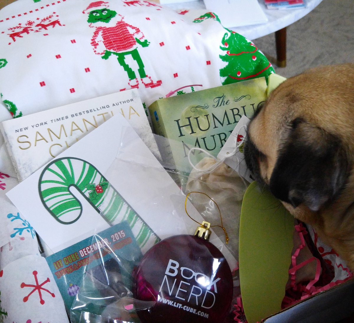 funaek's tweet image. December #litcube box. I don't love the book selections but I like the extra goodies, esp the long sleeved shirt!