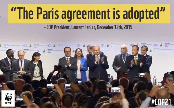 Image from WWF Climate and Energy (@climateWWF)