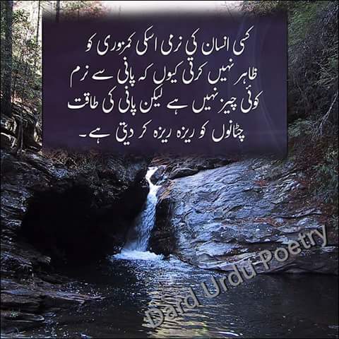 ranatariq532 tweet picture