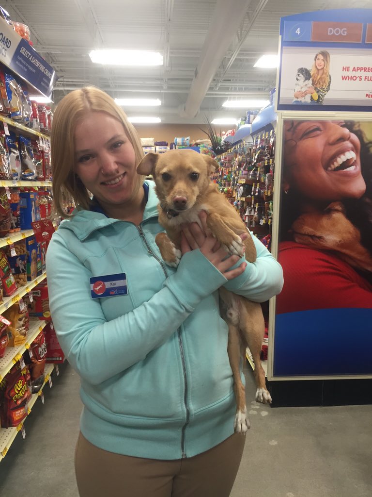 katklancke's tweet photo. First dog event at store 2569! https://t.co/bgVXuKIHrC