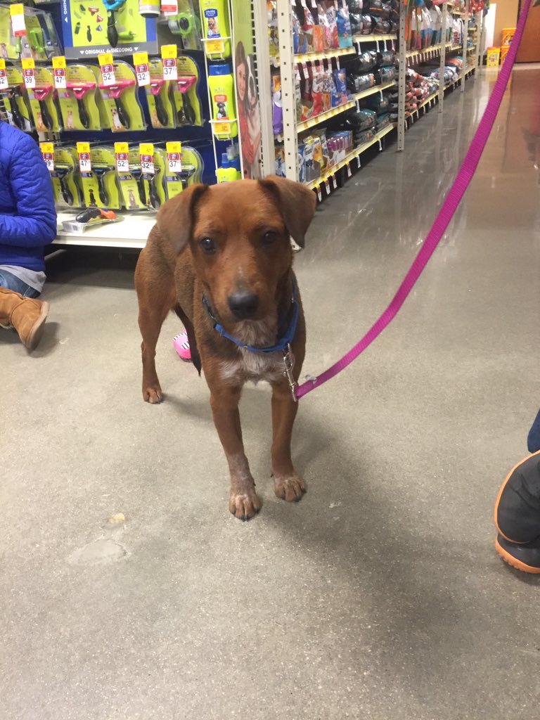 katklancke's tweet photo. First dog event at store 2569! https://t.co/bgVXuKIHrC