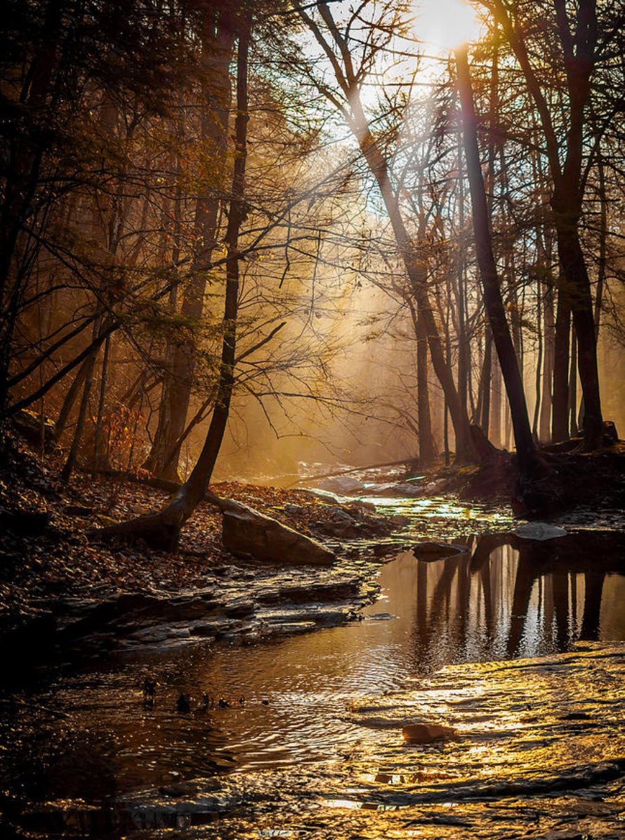 CarterCavesSRP's tweet photo. Beautiful picture of Cave Branch that flows through the park https://t.co/vGGc8oophH