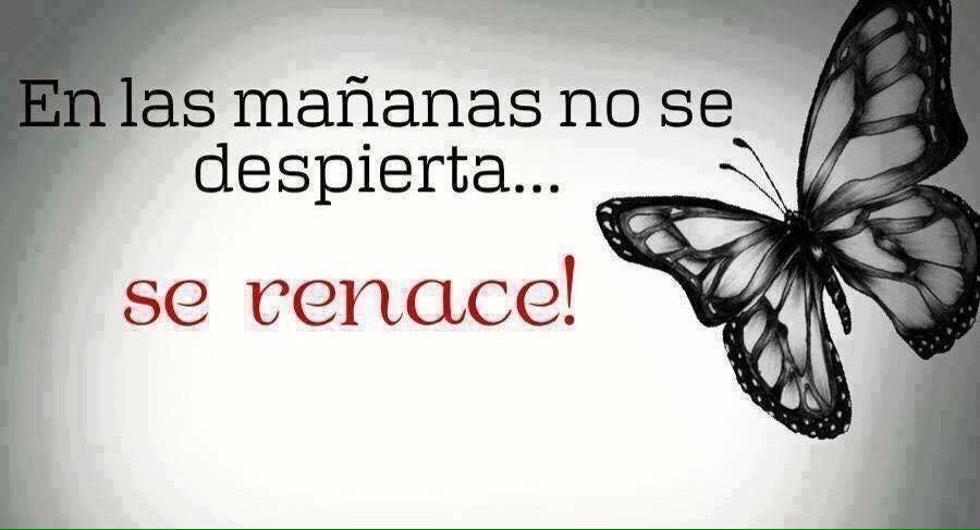 unspaciodeluz's tweet image. Buenos días Alegrías... Bendiciones para todos!