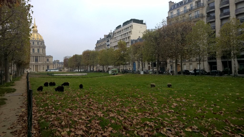 Einar Màr Einarsson tweet media