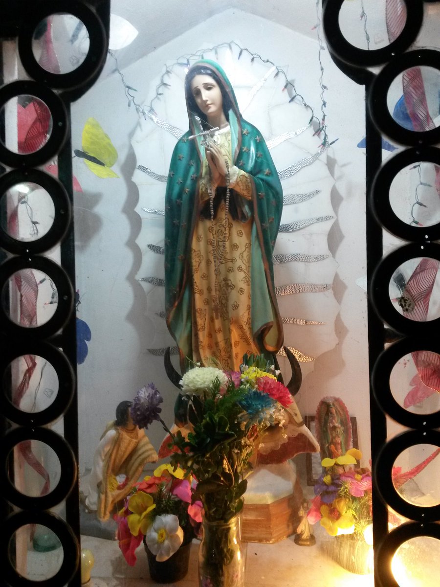 ServiciosPubSOL's tweet photo. Agradecimiento y celebracion a la #VirgenDeGuadalupe @GobSolidaridad @MauricioGongora @NoelCrespoPlaya @hrb0031 https://t.co/FwzASNAfiV