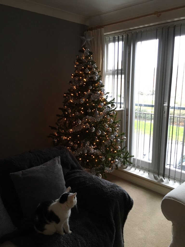 JT_UK's tweet photo. Christmas tree done! https://t.co/GUkRoDGf4O