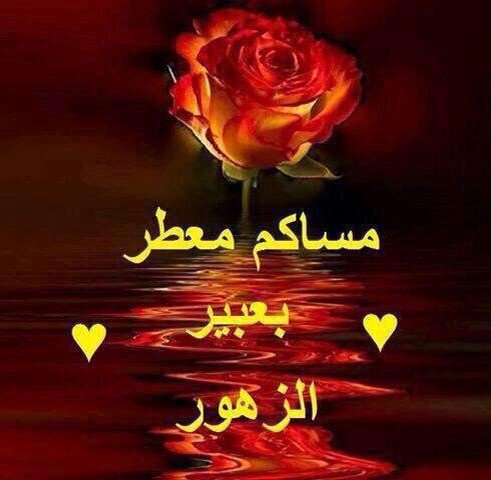 al_shemery's tweet photo. @zahraa73 @bintalmu7arq https://t.co/eG2mFS1KKR