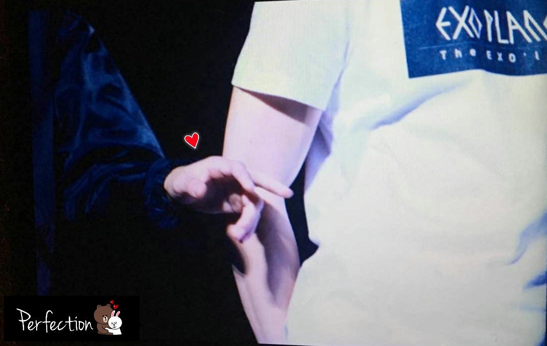 PerfectionKAIHO's tweet photo. 151212 THE EXO LU'XION IN NANJING #카이 #준면 #카준 🐻👉🐰 https://t.co/t96imibbMs