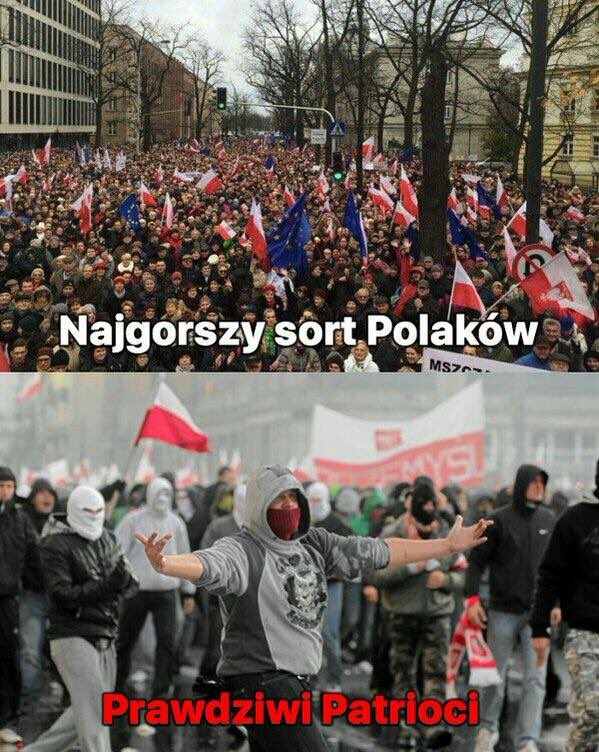 KopiecMaciej tweet picture