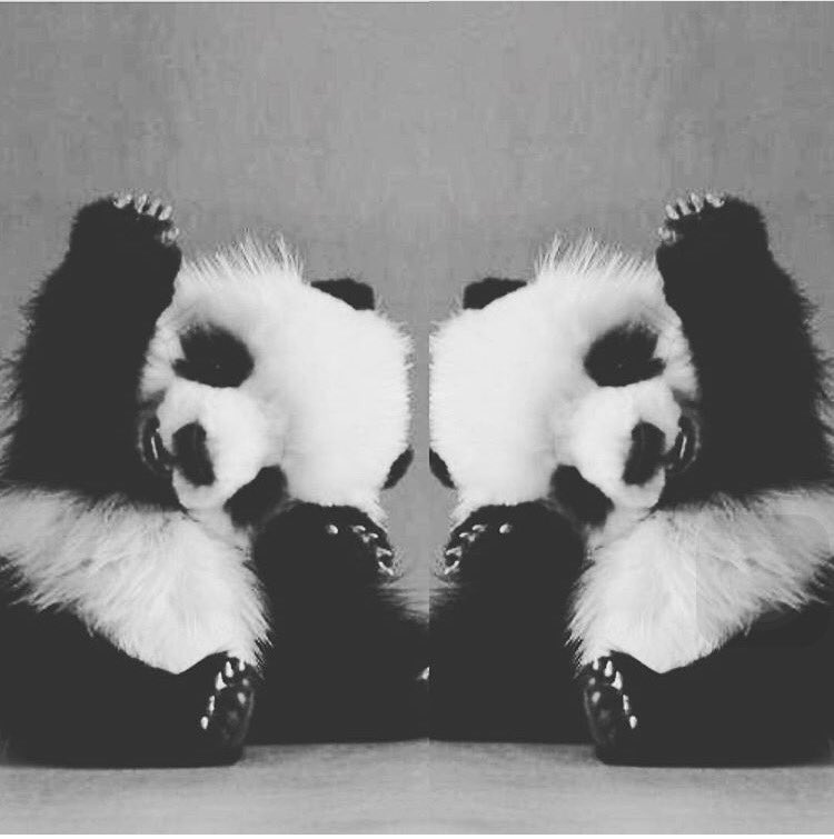 MargrethKnight's tweet image. 