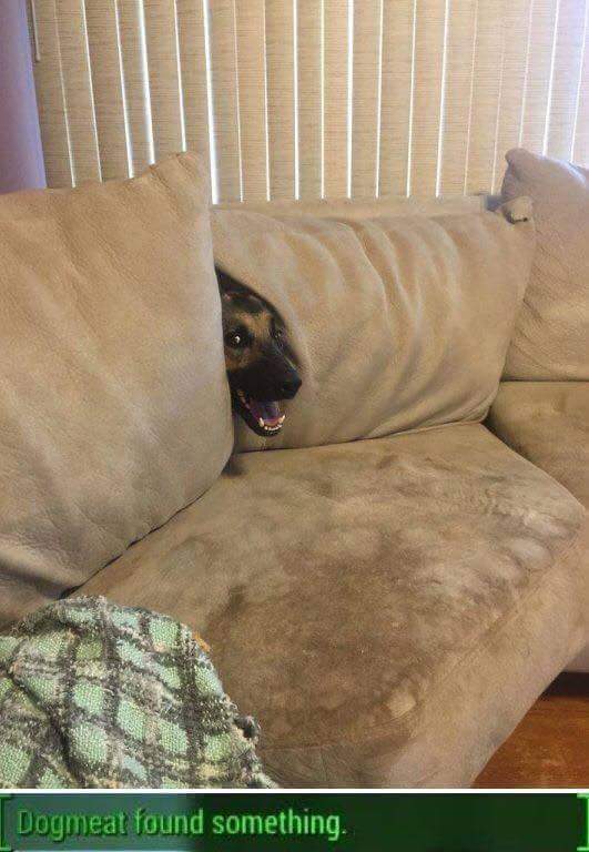 LdyLoneWanderer's tweet image. In 1 hour!! #Fallout4 stream. Be there!! twitch.tv/LadyLoneWander… #Conversing #schenanigans #Twitch