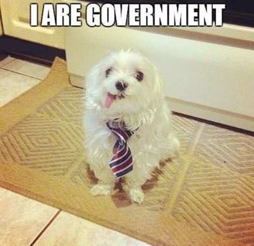 Sorry to get all paw-litical on the weekend. #puppiesaredicks