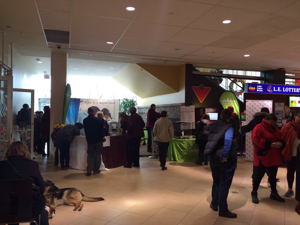 BISSELLcan's tweet photo. 10:03 and the THS and BPF event is in full swing! #Bissellcan #THS #Bissellpetfoundation #adoption #pets #dogs #cats https://t.co/vCfBiKhZFH